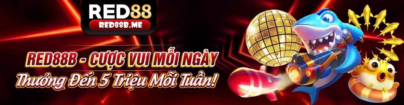 Hình ảnh Điều Khoản Dịch Vụ 6ff chính thức